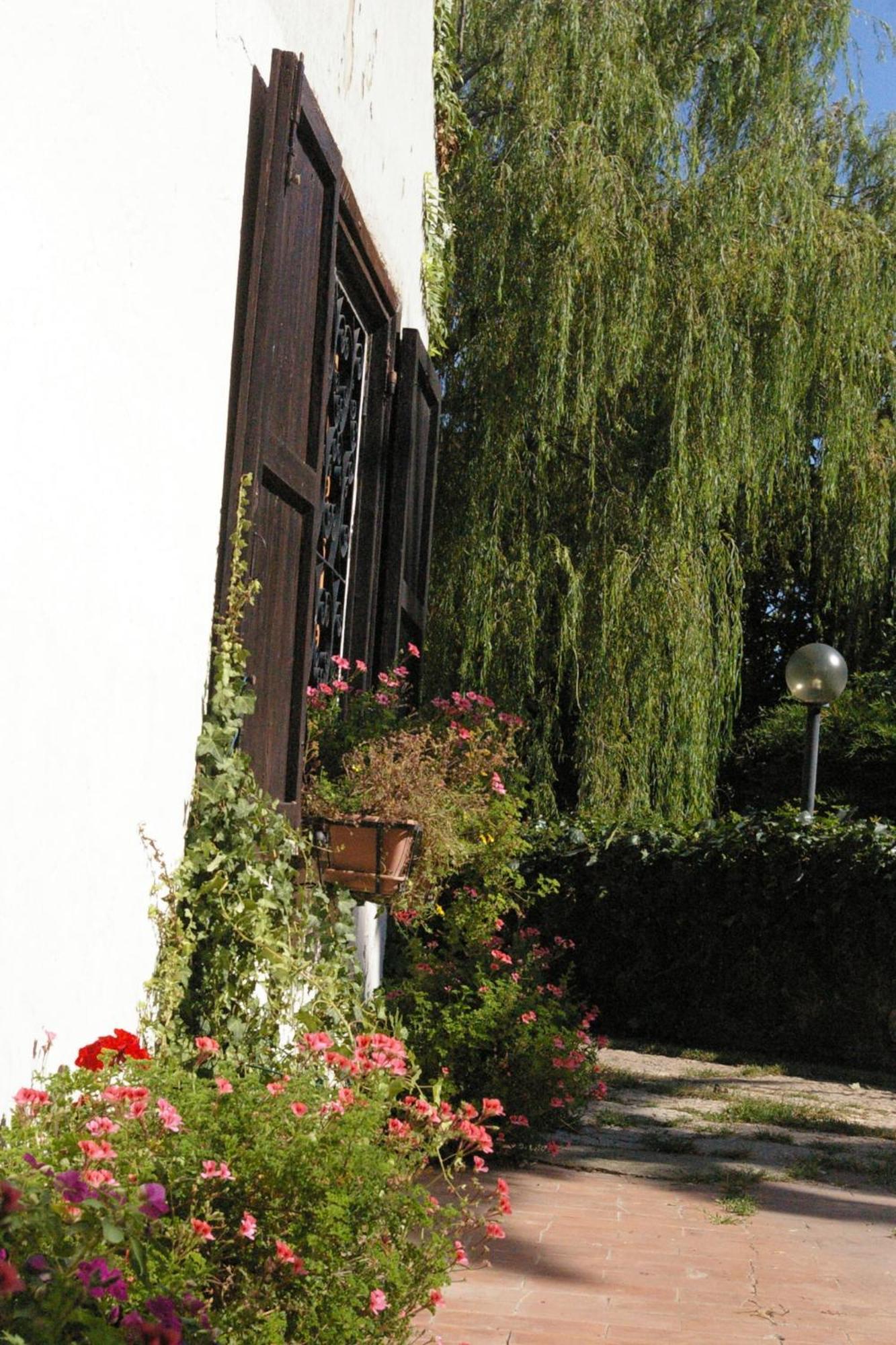 B&B Villa Sans Souci チビタベッキア エクステリア 写真
